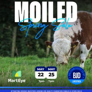 Sale Entry Fee 2026